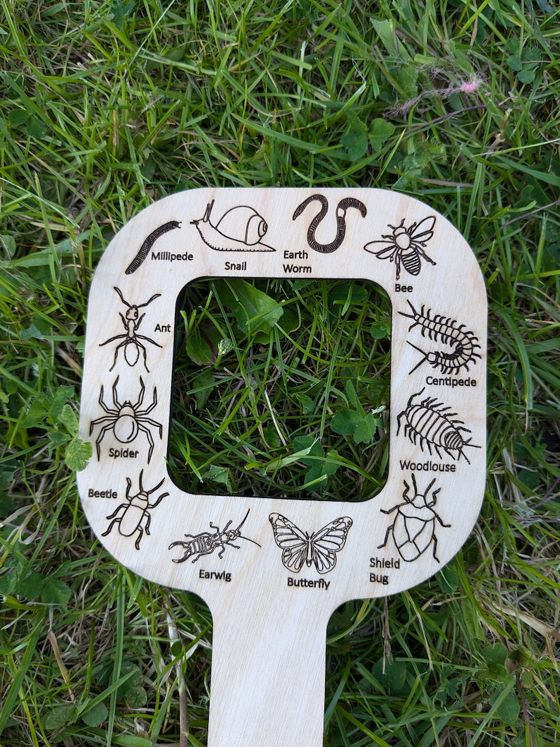May include: Wooden cutout of a magnifying glass with various insects and other small creatures, including a spider, beetle, butterfly, centipede, and earthworm. The text on the cutout includes the names of each creature.