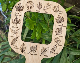 Leaf frame viewer, Forest School, 15 leaves from UK Trees, ship worldwide.