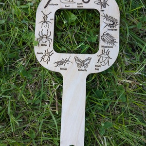 May include: A wooden bug identification tool with a handle and a frame with cutouts of different bugs, including a bee, centipede, butterfly, and beetle. The tool is labelled with the names of each bug.