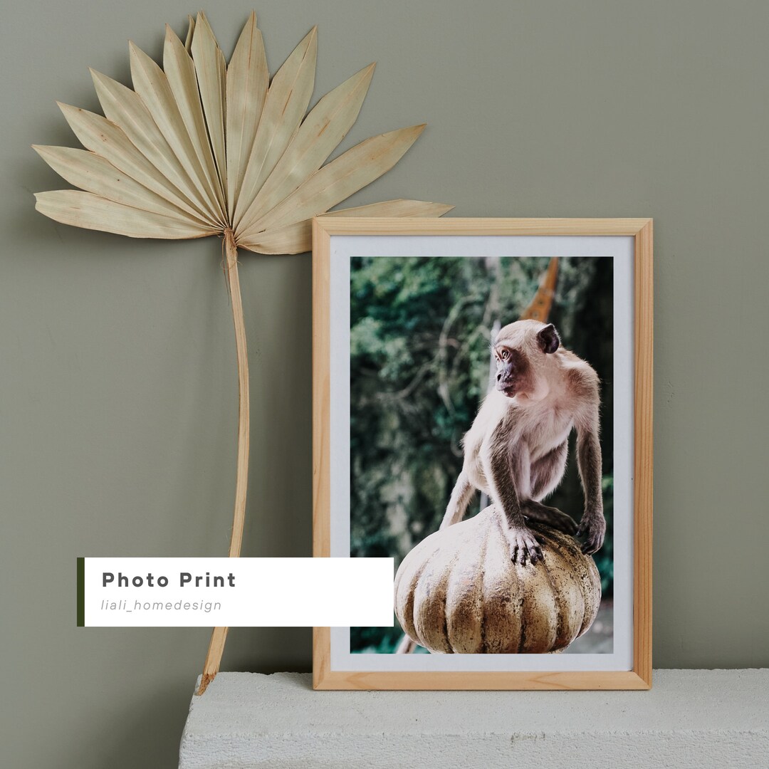 Digital Image for Poster Printing Home Decor Wall Art. Etsy