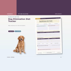 Ausschlussdiät- und Futtermittelallergietagebuch für Hunde, ausfüllbares PDF