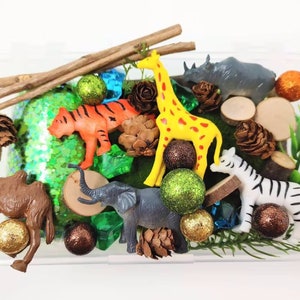Mini Zoo Play Dough Kit, Safari Playdough Kit, Zoo Sensory Kit, Zoo Sensory Box, Play Doh, Playdoh, Busy Box, Kids Gift, Jungle Animals Kit