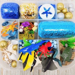 Ocean Play Dough Kit, Beach Playdough Kit, Ocean Sensory Kit, Kids Gift, Sensory Box,Beach Sensory Bin,Play Doh,Montessori Toy,Busy Box