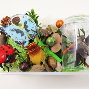 Mini Bugs Play dough Kit, Insect Sensory Bin, Insect Playdough Kit,Bugs Sensory Box,Busy Kit,Kids Gift,playdoh,play Doh,Playdough,Play dough