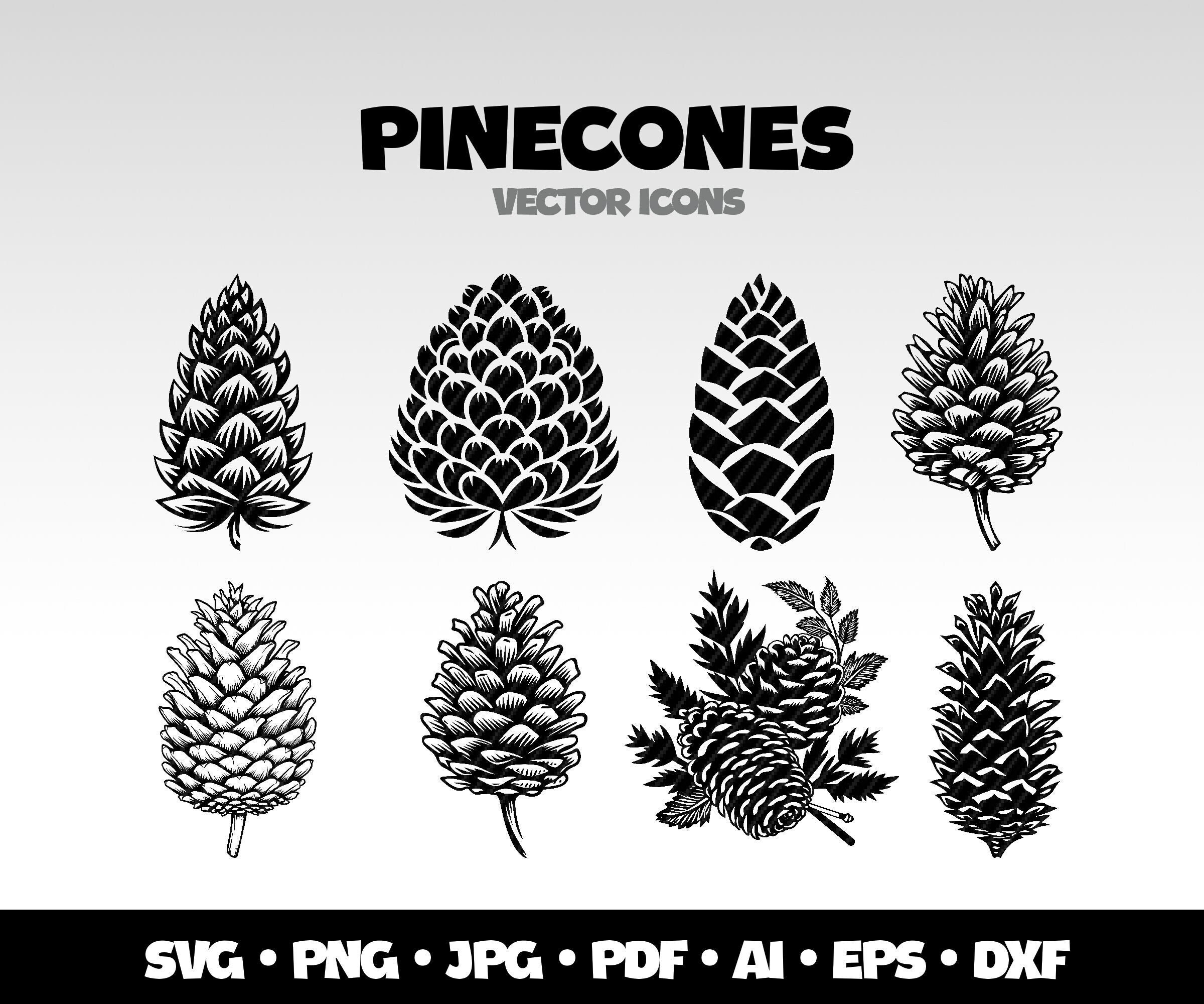 Pinecone SVG Bundle, Christmas Svg, Winter Svg, Pine Cone Svg, Pinecone Clipart, Christmas Sign Svg, Pine Tree Svg, Pinecones, Pine Branches