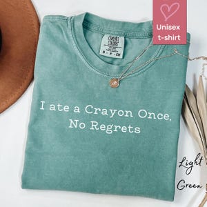 Ironic Shirts Stupid Shirt Comfort Colors Offensive Memes Unhinged Shirt Inappropriate Shirts Gen Z Meme Tshirt Stupid Gifts Funny Shirt