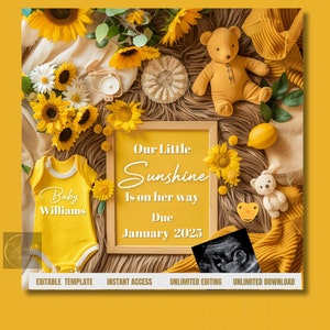 Digitale Schwangerschaftsmitteilung | Babymitteilung Digital | Sommer-Thema | Sonnenblume Themed Baby offenbaren | Sommer-Baby-Ankündigung