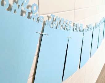 First Birthday Milestone Banner One Year Birthday Monthly Photo Banner Birthday First Birthday Monthly Photo Banner One Year High Chair