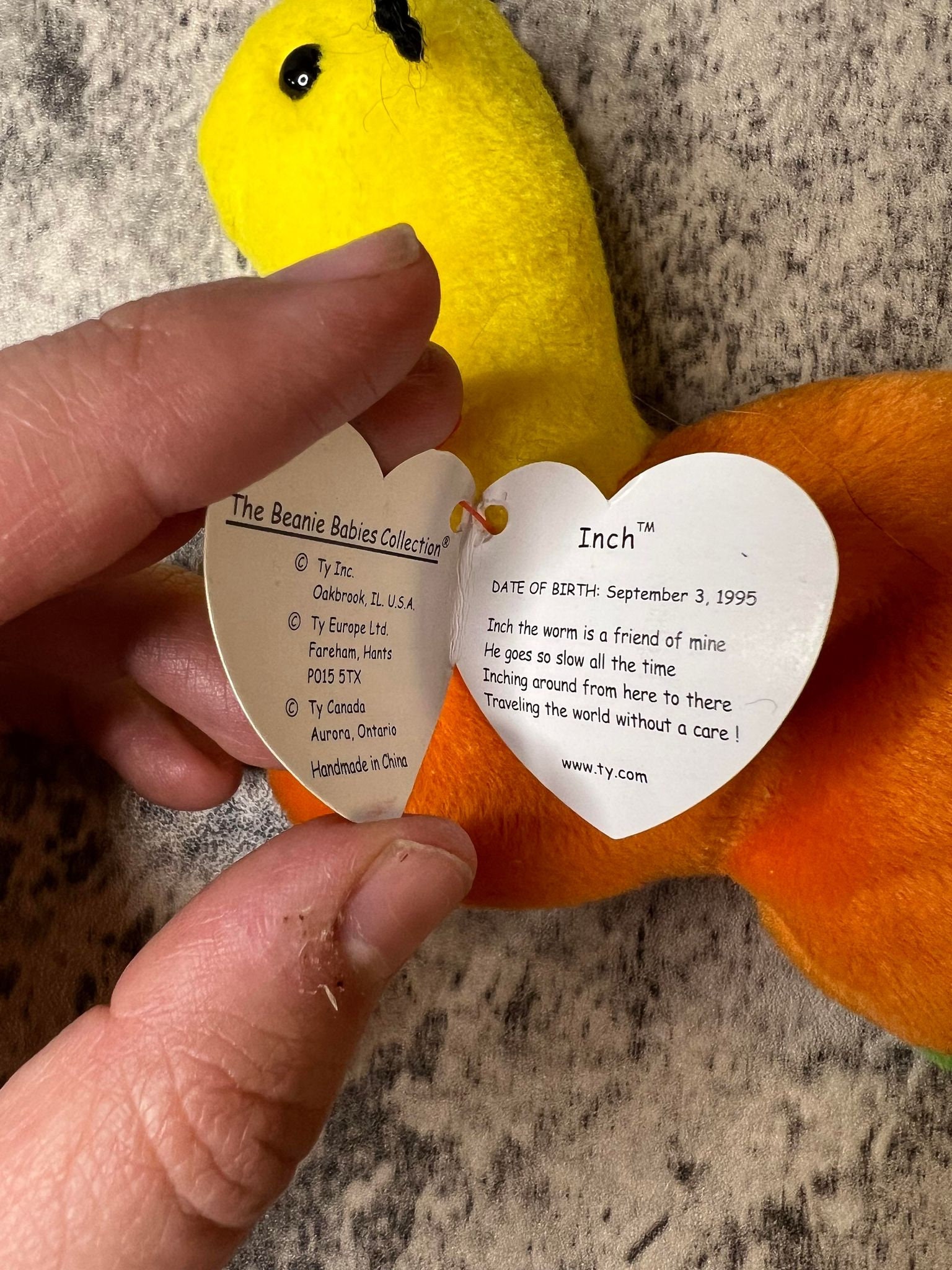 TY Beanie Babies Inch the Inchworm 1995 Tag Errors, Mint, Retired
