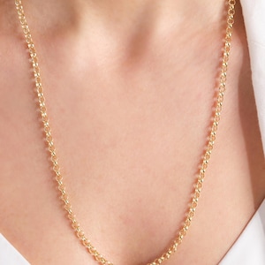 May include: A long, gold-toned chain necklace featuring a series of uniform, circular interlocking links. The chain has a polished, reflective finish and hangs in a simple, continuous loop around the neck area, showcasing a classic rolo link design.