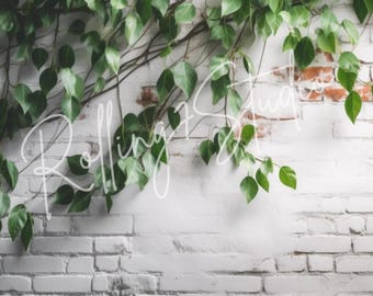 Ficus Leaves Zoom Background – Washed Brick Wall (Digital Download)