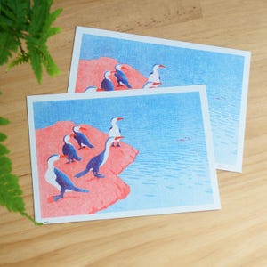 Australian Pied Cormorant | Risograph Postcard