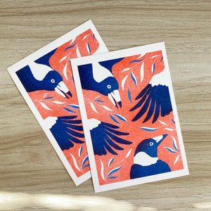 Australian Magpie | Risograph Postcard