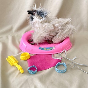 Beauty Barbie Doll’s Dog with Many Accessories #1018 Unboxed