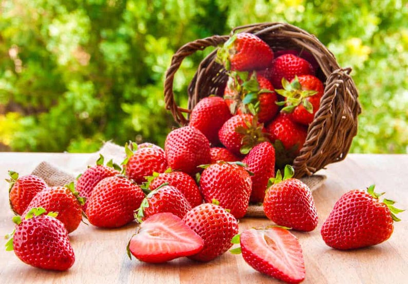 Garden Of Paradise Albion Strawberry Seeds - Thumbnail 2
