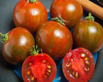 20 semi di pomodoro ciliegino zebrato nero