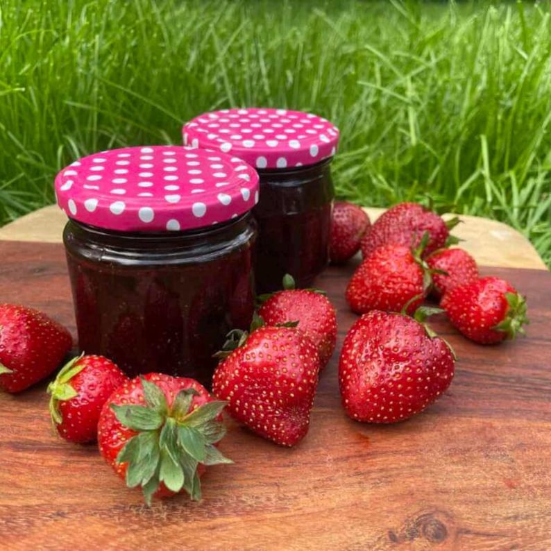 Garden Of Paradise Albion Strawberry Seeds - Thumbnail 5