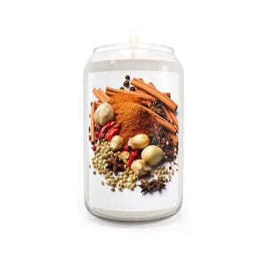 Comfort Spice Scented Candle, 13 75oz - Relaxing Aromatherapy, Home Fragrance, Gift Idea, Holiday Decor, Self-care Candle, Calming Soy Wax