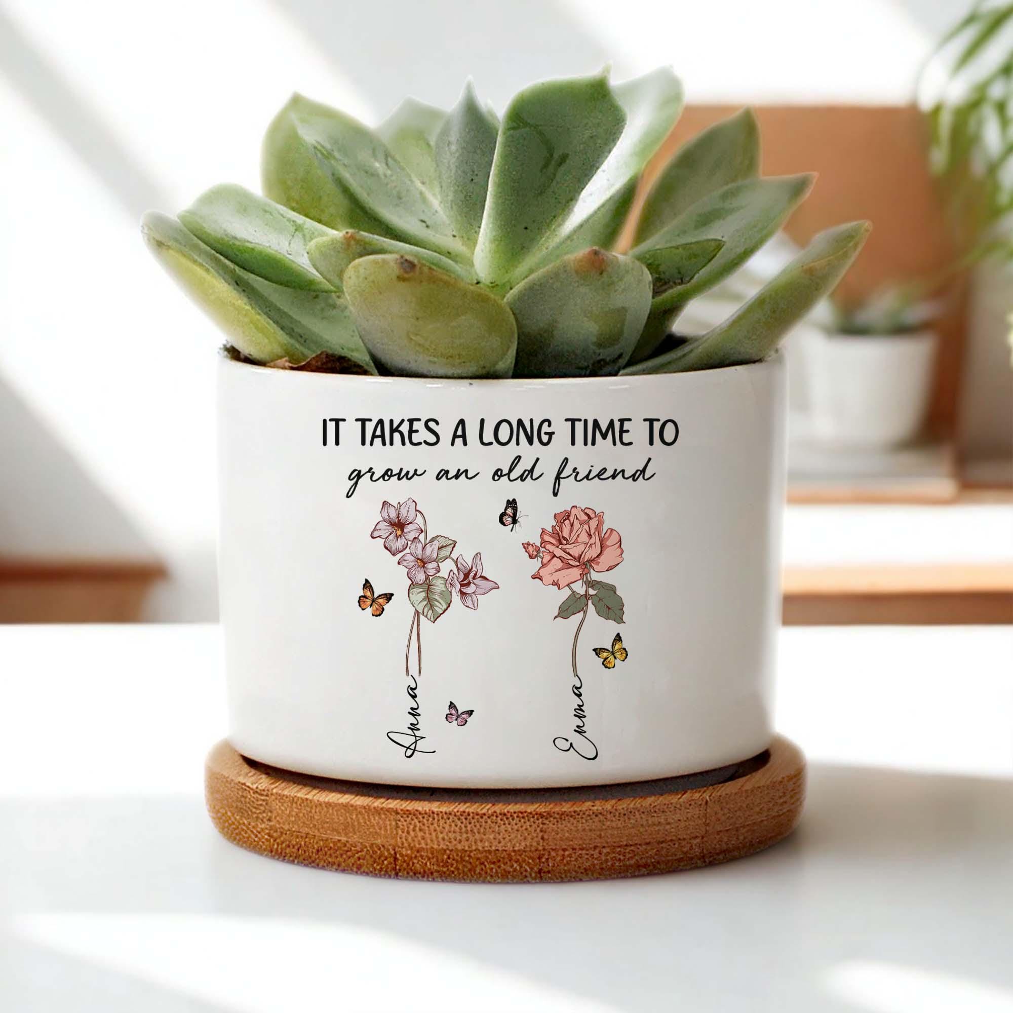 Plants For Friends
