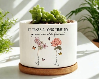 Personalized Friendship Ceramic Plant Pot, Custom Best Friend Birth Month Flower Plant Pot, Friendship Gifts, Besties Gift, Best Friend Gift