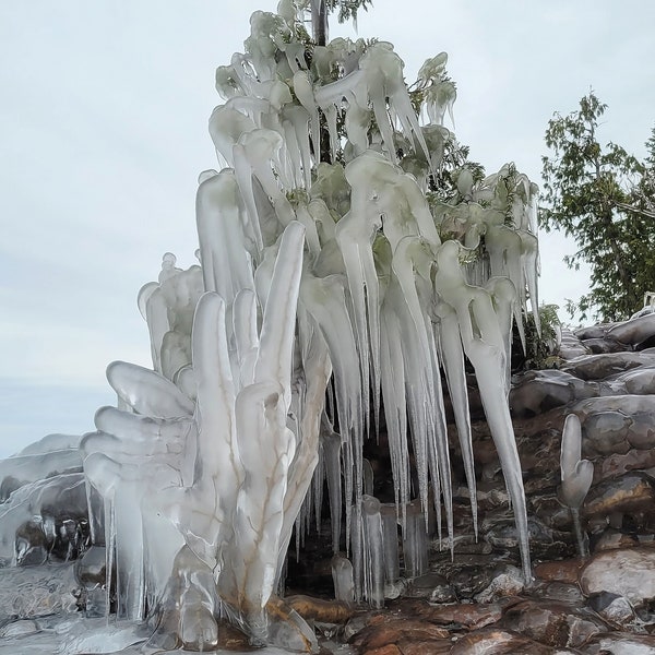 Presque Isle Park / Marquette / Michigan Upper Peninsula / Winter / Ice Tree / Canvas / Metal Print / Luster / Michigan Photography