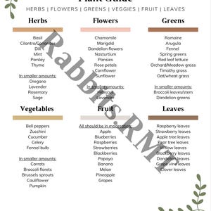 May include: A white plant guide titled "Bunny Safe Plant Guide" lists safe herbs, flowers, greens, veggies, fruit, and leaves for rabbits. The guide includes a variety of plant types and is designed for rabbit owners.
