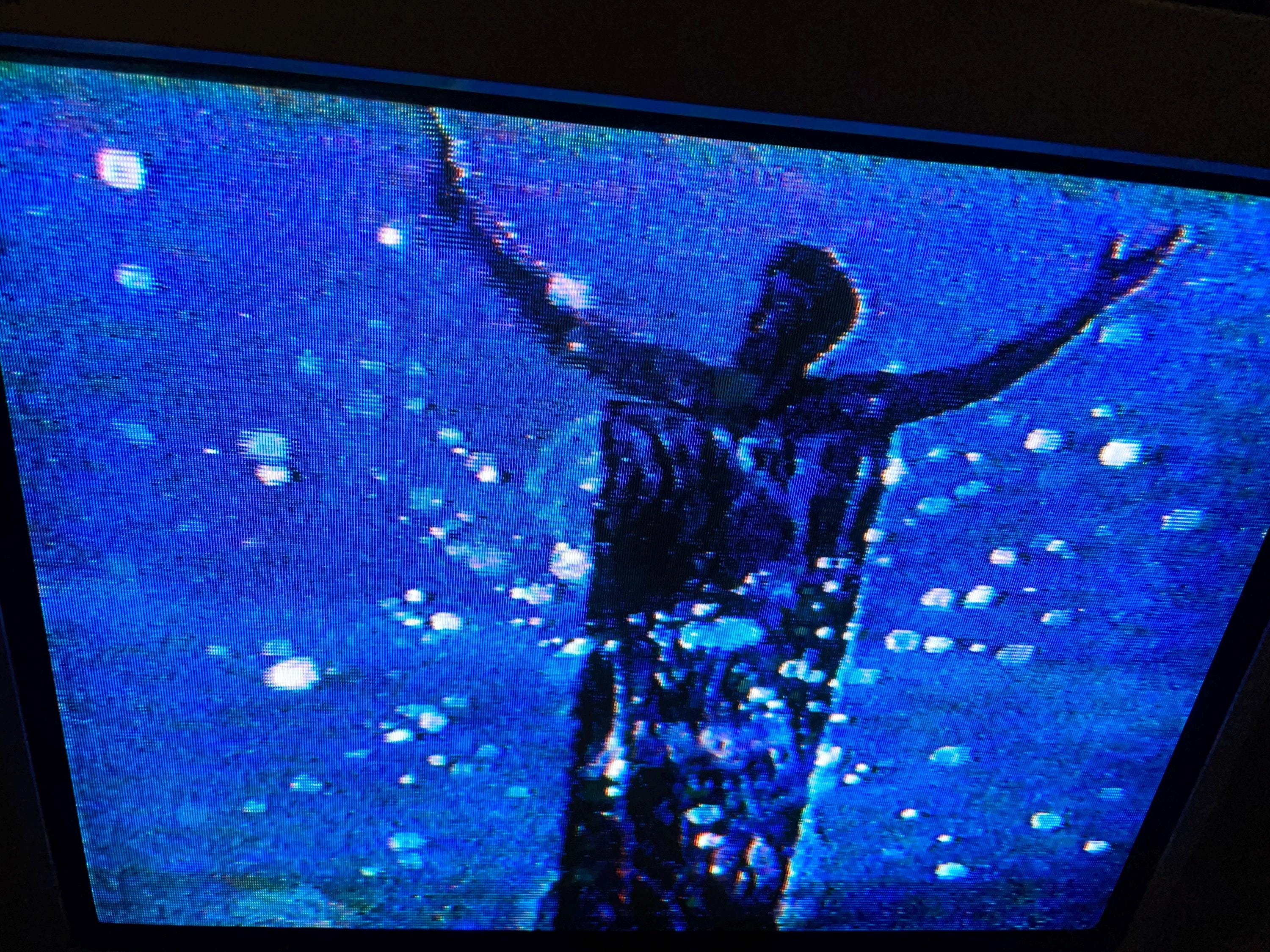 Holy Mountain Vhs - Etsy