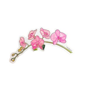 Orchid Sticker • Pink Phalaenopsis • Flower Orchid Sticker • Floral Sticker • Waterproof • Laptop Decal • Plant Lover Gift: Gift for Her