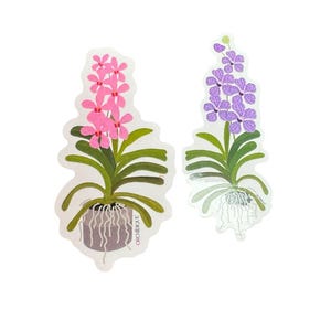 Orchid Sticker • Mokara • Vanda Mokara • Floral Sticker • Waterproof • Laptop Decal • Plant Lover Gift: Gift for Her