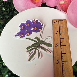 Orchid Sticker • Moth Butterfly Orchid • Purple Phalaenopsis • Floral Sticker • Waterproof • Laptop Decal • Plant Lover Gift: Gift for Her