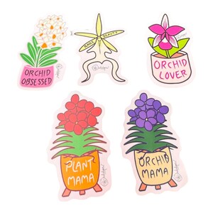 Orchid Flower Sticker Pack• Dendrobium thyrsiflorum  • Dendrophylax lindenii • Purple&  Pink Vandas • Cattleya Violecea  • Orchid Lover Gift