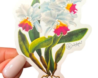 Cattleya Orchid Sticker: Waterproof Vinyl Decal, Plant Lover Gift