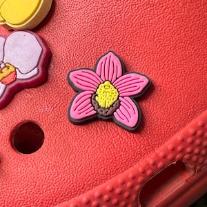 May include: A pink flower charm with a brown center and yellow accents. The charm is made of rubber and is designed to fit on a shoe.