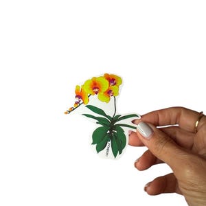 Orchid Sticker • Moth Butterfly Orchid • Yellow Phalaenopsis • Floral Sticker • Waterproof • Laptop Decal • Plant Lover Gift: Gift for Her