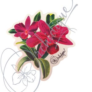 Orchid Red Cattleya  • Orchid Lover Gift: Gift for Her