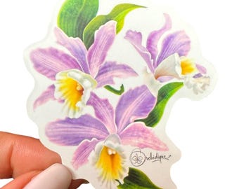 Cattleya Orchid Sticker: Waterproof Floral Laptop Decal