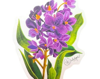 Vanda Orchid Sticker: Purple Floral Decal - Waterproof Laptop Sticker