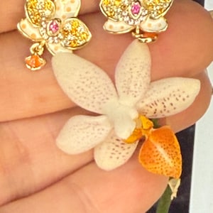 Mini M Gold Orchid Stud Earrings –Inspired by my “Mini Mark” bloom • Novelty Phalaenopsis Orchid Flower Earrings • Joyería de Orquídeas