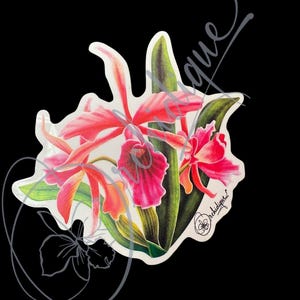 Orchid Tenebrosa Cattleya Sticker  • Orchid Lover Gift: Gift for Her