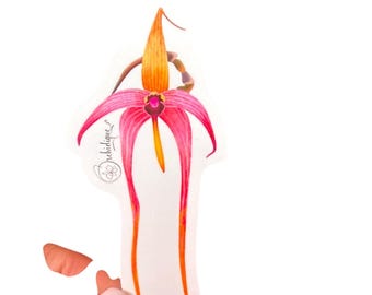 Bulbophyllum Orchid Sticker: Waterproof Laptop Decal, Plant Lover Gift