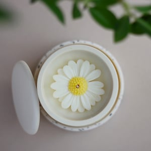Soy Wax Candle "Irish Moss" - Fresh and Earthy Scent with Grapefruit, Sage, Lavender, Oakmoss & Amber | Eco-Friendly Gift, Handcrafted pot