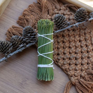 Eastern Pine Needle Smoke Cleansing Stick - Sage Smudging Alternative