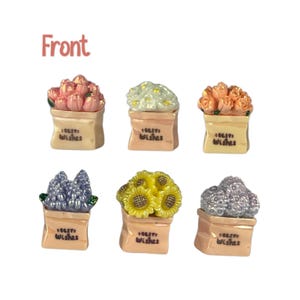 May include: Six miniature flower bouquets in paper bags. The flowers are in various colors, including pink, yellow, and purple. Each bag has the text "Best Wishes" printed on it. The word "Front" is written in pink at the top.
