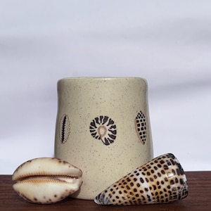 May include: A cylindrical ceramic mug with a speckled cream finish, featuring three dark brown shell illustrations around the exterior. A smooth, oval-shaped cowrie shell and a conical, spotted cone shell are positioned in front of the mug.