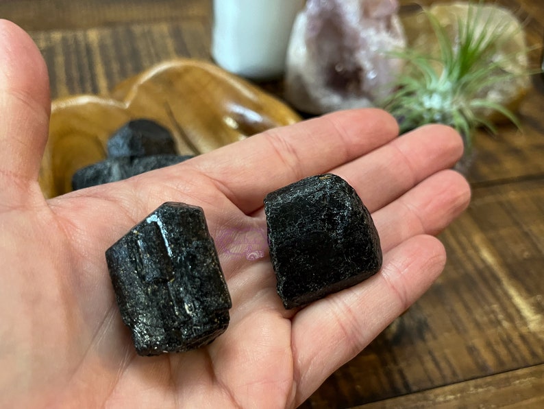May include: Two black tourmaline crystals, one with a smooth surface and the other with a faceted surface, are held in a hand.