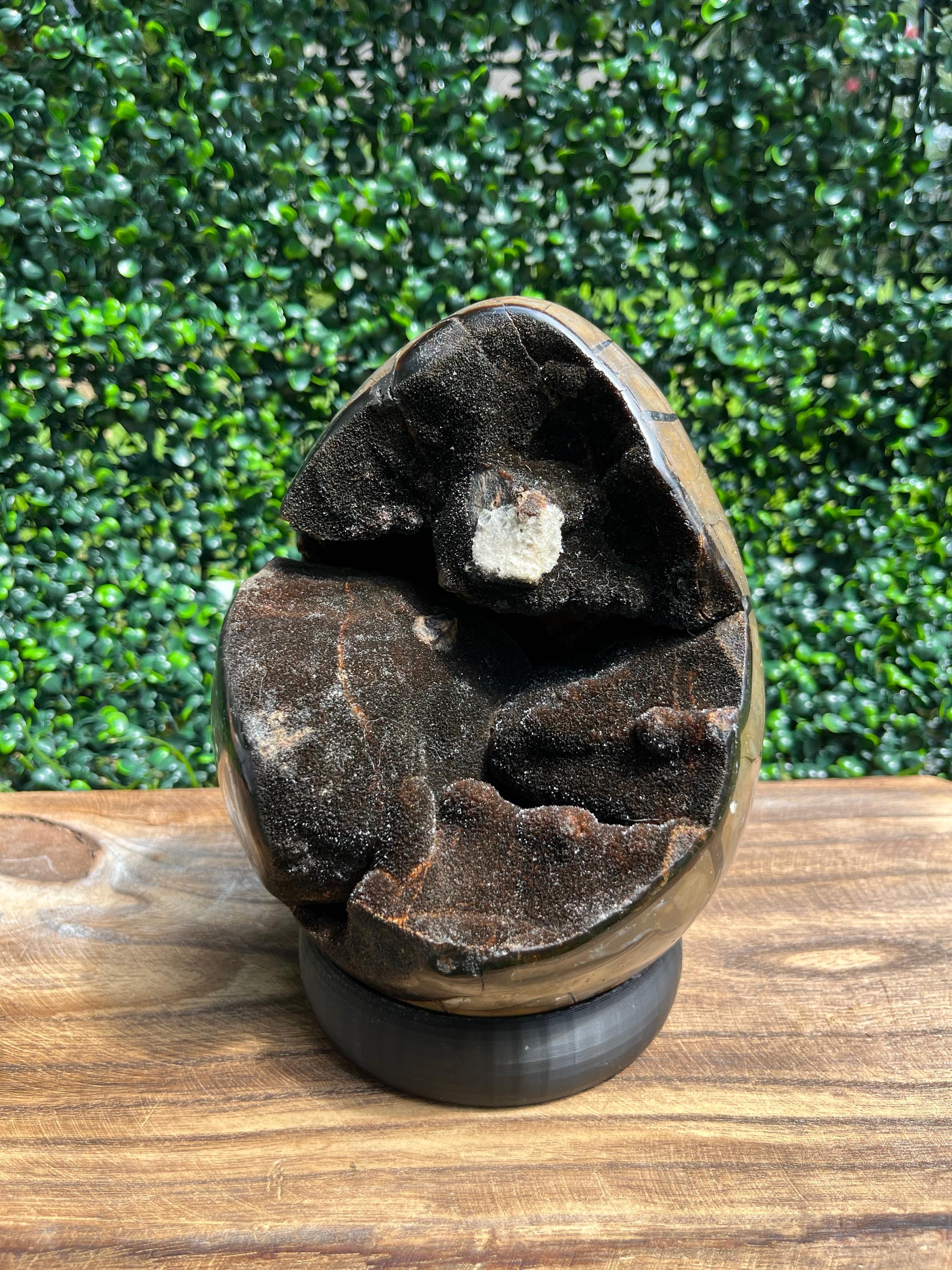 マダガスカル産 セプタリアンエッグ 置物　台座付き Septarian Egg Stand - Etsy