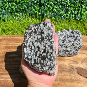 May include: Two pieces of snowflake obsidian, a volcanic glass with white, snowflake-like patterns on a black base. The rough, natural stones are held in a hand, showcasing their unique textures and colors. The background features green foliage and a wooden surface.
