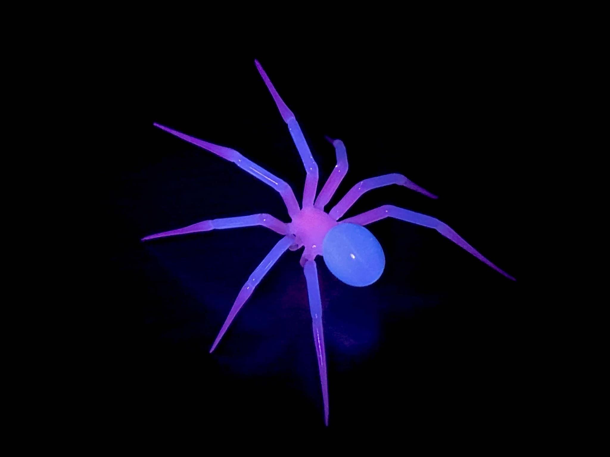 Uv reactive non uranium pink and blue glow selenium glow on white glass spider