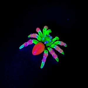 Uranium Vaseline  jumping Spider limited-custom 5 glass types used !! In stock now