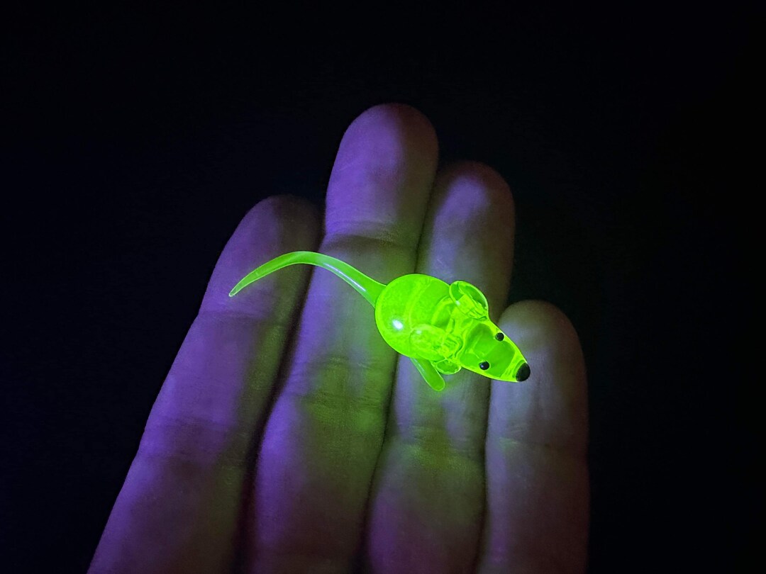 Uranium Vaseline Mouse Etsy